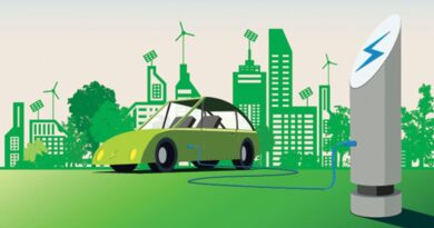 The Government’s Role in Promoting Electric Vehicles￼